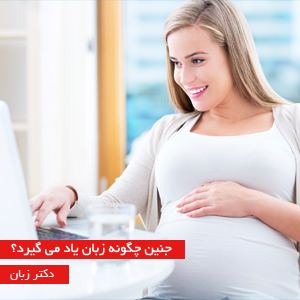 اگر خانمی باردار هستید و می خواهید فرزندی چند زبانه پرورش دهید، احتمالا  تعجب خواهید کرد اگر بدانید که نوزاد شما همین حالا در رحم  شما در حال یادگیری دو یا چند زبان است.